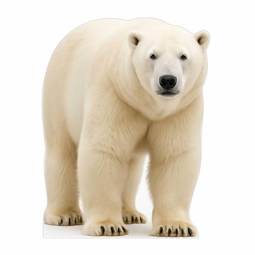 Image of Polar Bear 4FT Life Size Cardboard Cutout - A Fun Animal Standup for Photo Booths, Birthday Parties, and Events