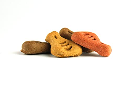 DIBO Schinken-Mix, 500g-Beutel, Backwaren als gesunde, natürliche Ernährung für Hunde von DIBO, Hundefutter, Barf, B.A.R.F, Leckerli, Hundekekse (Packung mit 2)