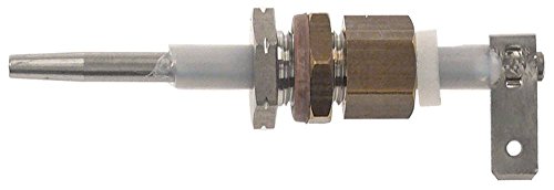 Animo - Elettrodo di livello per FC-GL-1x10-HW, FC-GL-2x10-HW, M200W, PBD connettore F6,3 ø 4 mm, 40 mm, isolato, 14 mm, M10