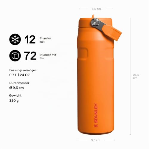 Stanley 1913 Flip Straw Trinkflasche 0.7L - Goldenrod Coral – Ansicht 2