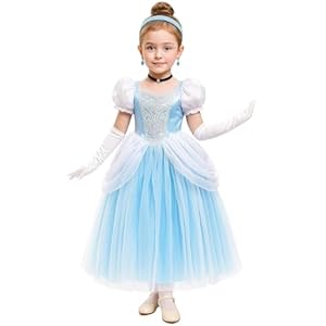 Cinderella Dress Princess Costume Halloween Party Dress up Blue Blue 3 2-3 years