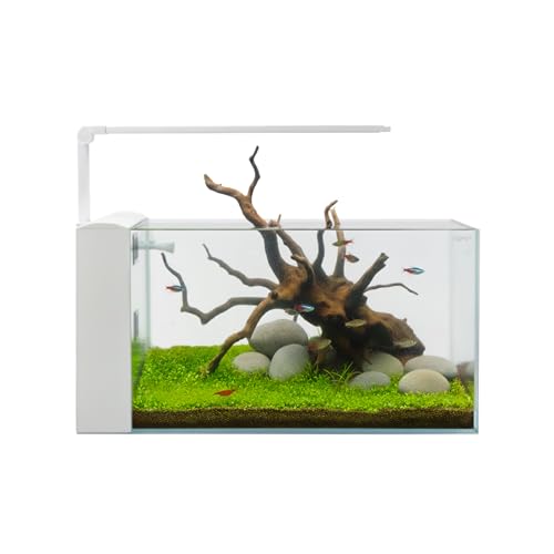 Aqpet Acquario Completo Aqua Rear in Vetro Extrachiaro con Filtro Integrato e Luce LED – Vasca 60x30x30 cm, Design Moderno, Ideale per Acquari d’Acqua Dolce colore Bianco
