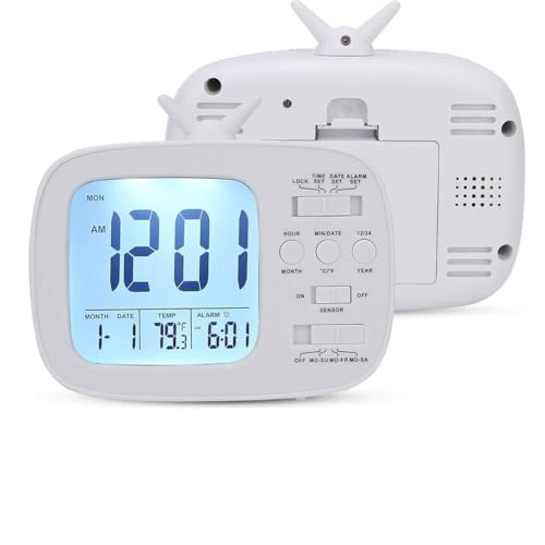 Qiilu LEDfW^fBXvCtX}[gڊo܂vA@\12/24ԃXCb`ACeWFgXk[Y@\AԏƖAȐQArO[ANZT[ ()