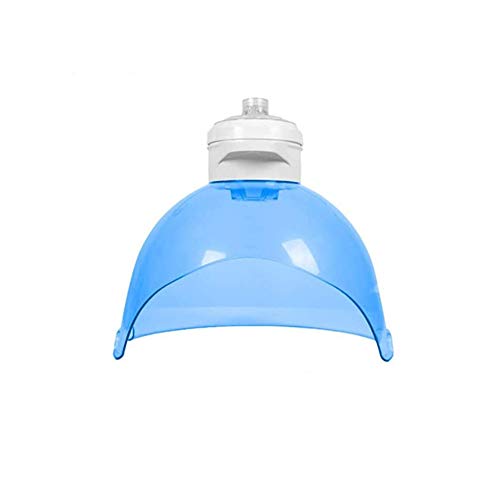 Facial Hydration Beauty Machine, Hydrogen Oxygen Mask Anti-Oxidation Beauty Atomizer, LED Face Skin Care Light Spectrum Instrument Skin Management Equipment