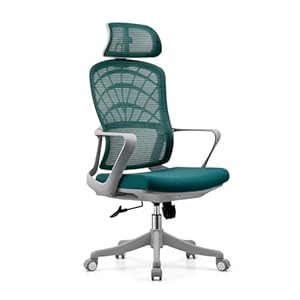 maozi Lendenbescherming Kantoorcomputerstoel Toepasselijke gamingstoel met rugleuning for huishoudelijk gebruik (Color : D, Size : As shown)