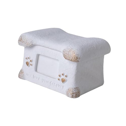 STARTIST ^ybgΑكfBXvCLOiLOiK[fybgVpOpD, 