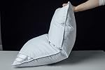 Goose Down Feather Oreillers doux Un oreiller 100% Cotton supportive lit bande d'oreiller blanc Couleur Taille Reine 20x30 de pouce
