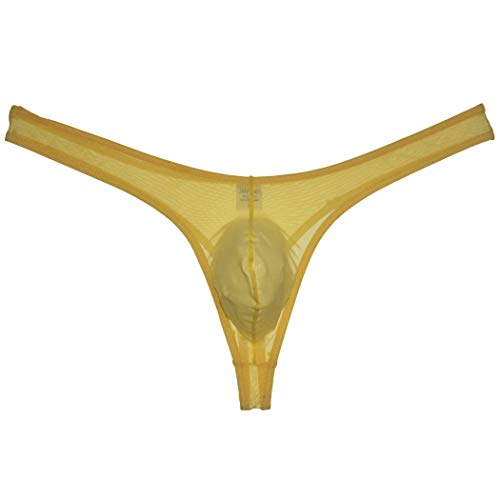Men's Bulge Pouch Thong Underwear Sheer Mesh T-back Tempting G-string3