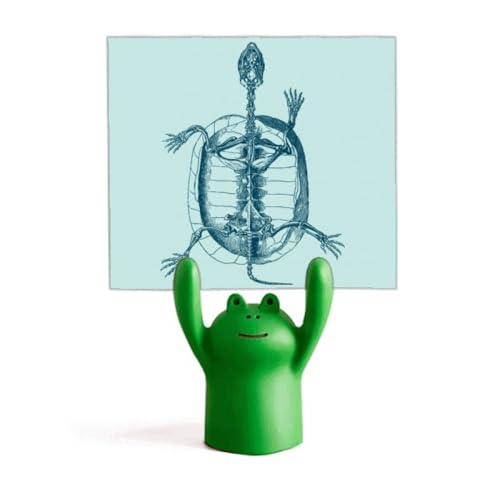 Support de mémo grenouille contre les feuilles de croquis qui glissent