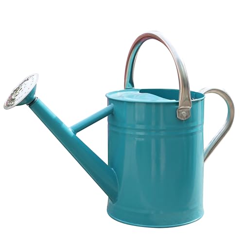SunnyTong Metal Watering Can for Outdoor and Indoor Plants Watering Can Decor 1 Gallon (Leaf Green)