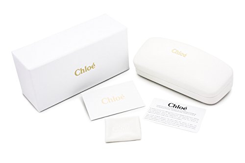 Chloé Sunglasses CH 0033 O- 004 Blue/Transparent4