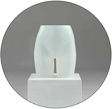 Mannequin Mannequin Female Bust, Dummy Model Props Underwear Exhibition Stand, Clothing Style Used in Clothing Stores Dress Form