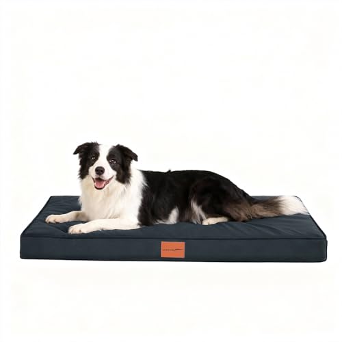WAVVE Cuccia Cane Taglia Grande, Ortopedica Cuscino per Cani, Letto per Cani Sfoderabile e Lavabile, Divano per Cani in Uovo Foam, Base Antiscivolo, Fodera Impermeabile, 91 x 69 x 7.6 cm, Grigio