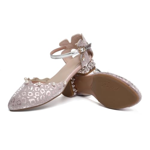 AOQUNFS Girls Dress Shoes Latin Ballroom Dance Shoes Mary Jane Low Heels Wedding Party Sandals,DS-20673