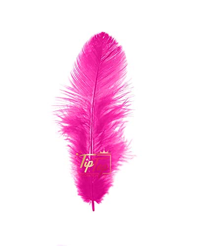 Image of TIPTOP DECORATION Natural Dyed Feathers 10 cm (80 pieces) (Dark Pink)