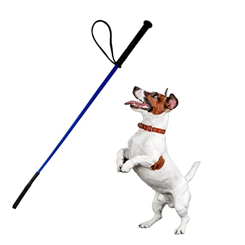 Jainsons Pet Product Dog Training Hunter Stick Length: 30 inch/ 2.5 Feet, Soft and Easy to use Hunter Stick Will not Hurt Your pet (Color May Vary)