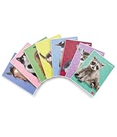 Pigna, Maxi Notizbuch Sweet Puppies, A4 Format 21x29,7 cm, 80 Seiten + Deckblatt, 80 g/m² Papier, innen 1R, liniert, Assorted Covers, 10 Stk.