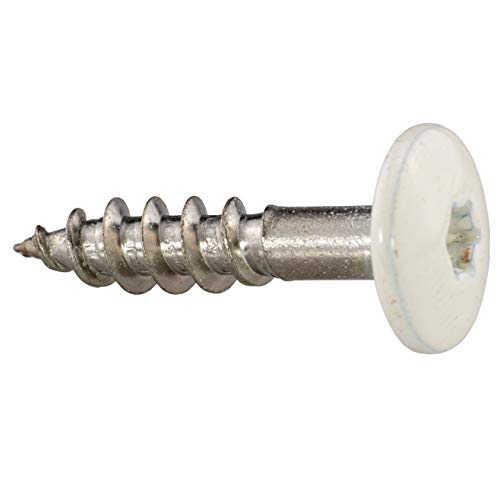 Foto von Fassadenschrauben 5,5 x 25 mm - RAL 9010 - Reinweiß TX20-100 Stück Edelstahl A4