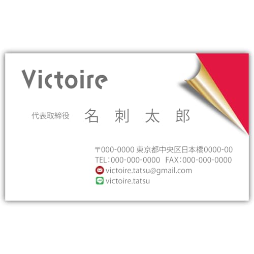 h쐬 h i 100 Ж tJ[ P[Xt No.0058