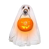 Wall Calendar - Cat Calendar | Wall Calendar | 8.5 X 11 Inches Family Planner Calendar For Cat Lovers 2025 Cat Calendar With Cat Photos Cat Calendar With Cat Facts For Organized Planning