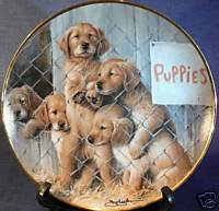 Amazon.com: Adopt a Puppy, ASPCA Limited Edition Collector Plate