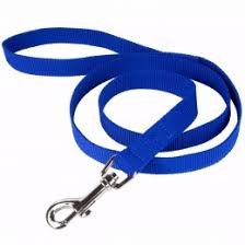 MUNCHOS Nylon Leash for Medium Dogs (1-inch) (B078819BWC) Amazon Price History, Amazon Price Tracker