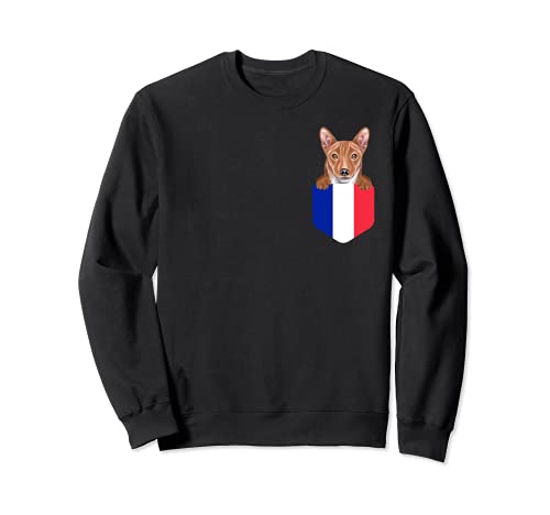 France Flag Basenji Dog In Pocket Sweatshirt, Black