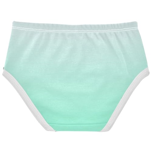 Joisal Magnolia Aquamarine Gradient Ombre Little Girl Panties Girls Underwear Toddler Cotton Fun Briefs Kids Undies 2t2