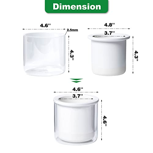 Phoenix Vine 4 Inch Self Watering Planter Pot, Design White Terracotta Pots For Plants, Indoor Cylinder Terra Cotta Pots With Glass Vase Set, 51-B-E #TOP3