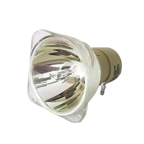 Ampoule BL-FU190D pour retrouver vos soirées cinéma sur GT760 W305ST