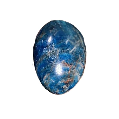 BTMDECOR ^uVRNX^q[OXg[Zbg ? CLAґzAAMtgp̌ꂽ΂̋lߍ킹? oNGlM[NX^RNV, One Size, mE