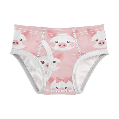 Wusikd Pig Face Boys' Underwear Cotton Cute Boys Briefs Soft Toddler Underwear 2T