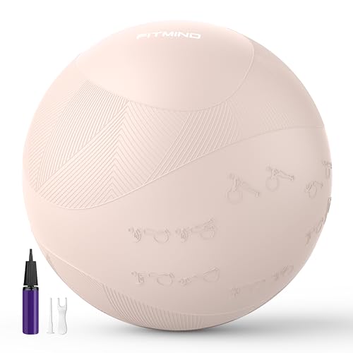 Image of Extra Thick Yoga Ball with Training Instruction, Anti-Burst Slip Resistant Exercise Ball with Pump for Pilates,Physical Therapy,Pregnancy Stability,Birthing Ball 22in 26in 30in