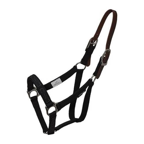 Thinline Turnout Halter for Use with Grazing Muzzle | Horse Equine Safe Comfortable Adjustable Breakaway Halter - Size Options