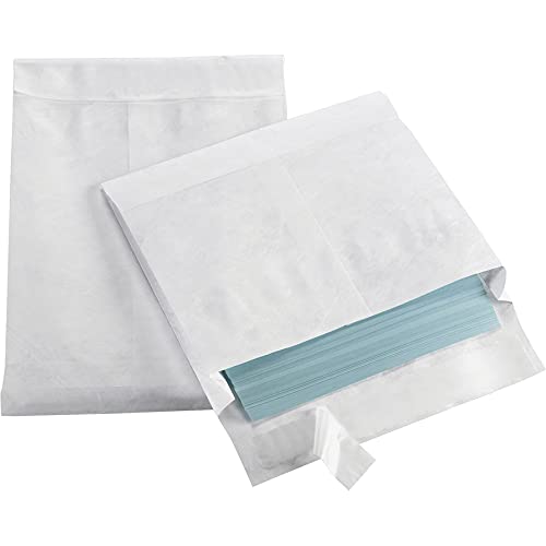What are USPS Priority Mail Tyvek Envelopes? 2021 Guide RoseWe Store