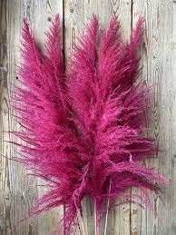 Hierba de las pampas rosa de 24 pulgadas, ramas de pampa de hierba pomposa seca para jarrón, arreglo floral de boda, decoración del hogar, arreglos
