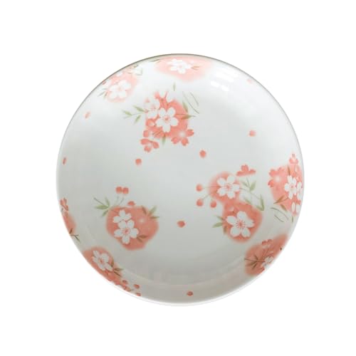 Imagen de TROSIQUANJIA Vajilla minimalista minimalista de porcelana china de estilo japonés con esmalte irregular