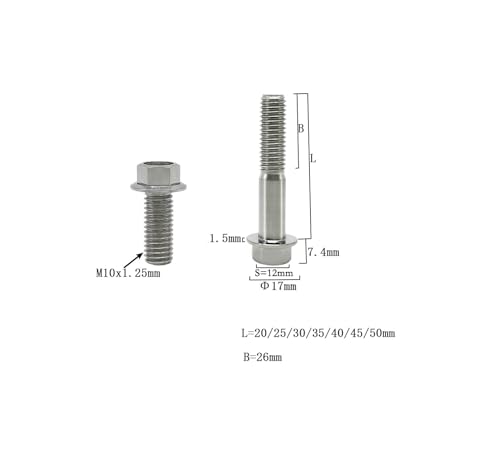 Image of RISON Titanium Flanged Hex Head Bolt M10x1.25x30mm 6AL4V Aerospace Grade 5 Original Titanium Bolts for Motorcycle Car Modification Pack of 5