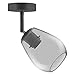 Price comparison product image Ledvance Glass Spot 1 Smoke Grey