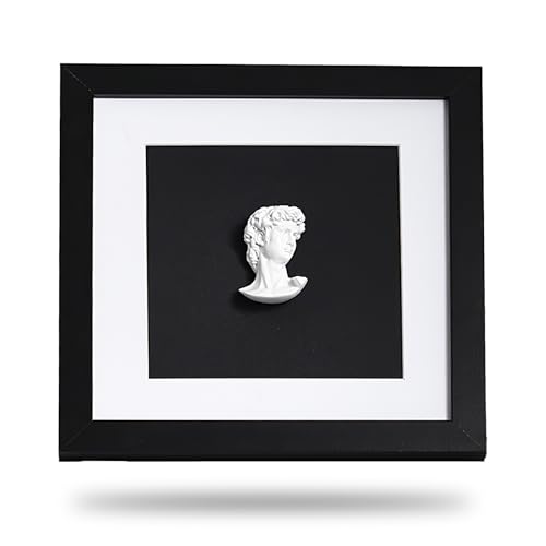 Milnnie 9×9" Modern Luxury David Frame Art Decor – Minimalist Resin Bust in Black and White Shadow Box, Wall or Tabletop Accent for Living Room, Bedroom, Office, Gallery or Gift Display