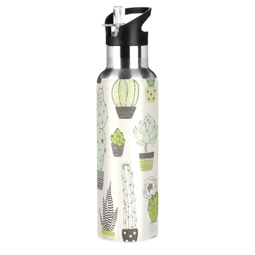SoreSore X|[c{g XeX 600ml T{e O[ A  GKg  ۉ ۗ  e jp ̎q EH[^[{g AEghA ʋ W ނ St Lv ^ѕ֗