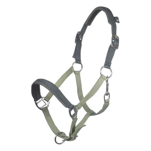 Licol Barnie HKM vert clair pour poney Shetland au quotidien