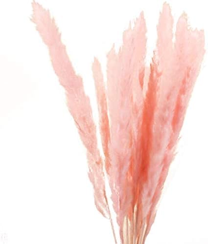Luxurat Feather Small Pampas Grass Bunch, 15 Pcs Dried Small Pampas Grass Phragmites Communis Decoration for Home Hotel Wedding