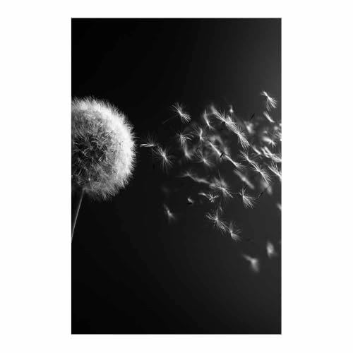 Toile pissenlit noir et blanc affiche deco murale salon grand format 70x100cm monochrome