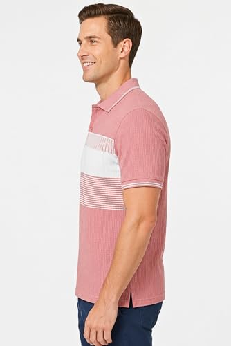 Image of SANE ORIGINALS Polo T-Shirt for Men with Pocket || Striped Polo for Men