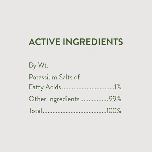 Garden Safe 32 oz. Insecticidal Soap Ready-to-Use, 1 Count (Pack of 1)