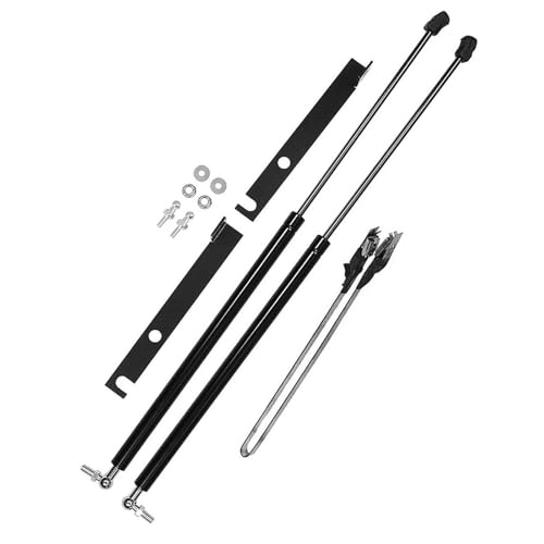 Supports de levage capot Toyota RAV4 2026 hiver serein