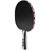 Penn 3.0 Competition Ping Pong Paddles - Choose Single Table Tennis Paddle, or Deluxe 2 or 4 Player Kit with Balls and Storage Case