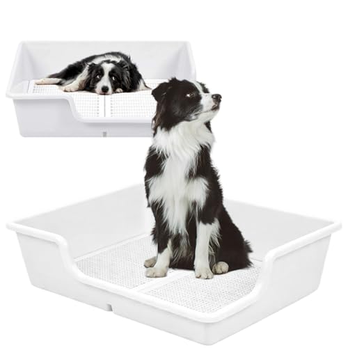 トイレトレー　スーパーワイド Amazon | DogLife 犬 トイレ トレー スーパーワイド ペットシーツ対応