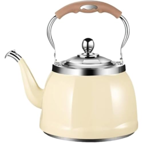 ITMEATJPgXg[uΉLv₩304XeX|ƒpKzCbX΃Xg[ueʑϋvI[MΉ (5L)